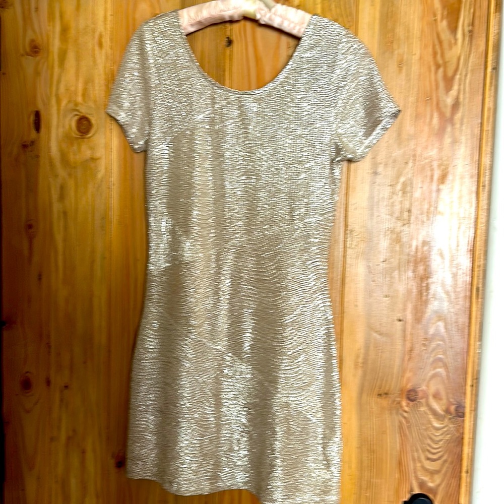 Free People Sparkle Mini